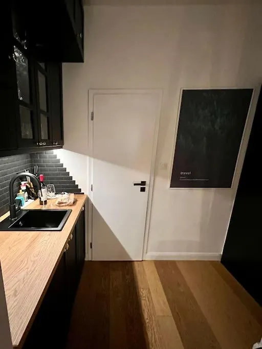 Romantic Terrace Studio In Karlin Prague 0*,