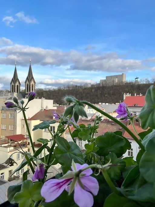 Apartment Romantic Terrace Studio In Karlin Prague