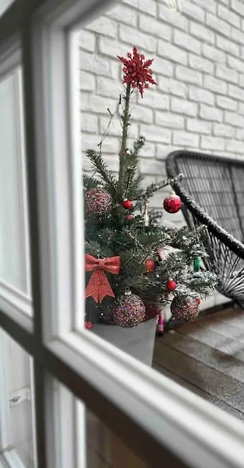 Apartment Romantic Terrace Studio In Karlin Prague Czech Republic